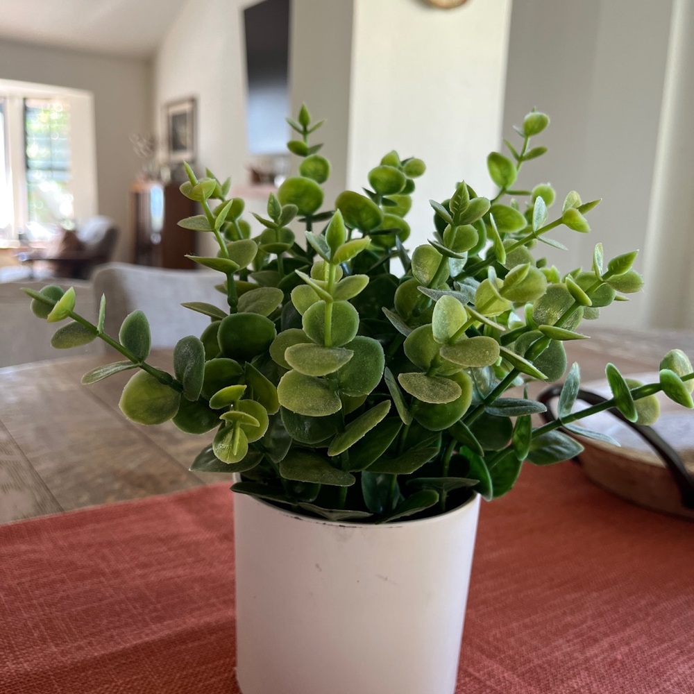Faux eucalyptus Plant in White Pot - Picture 4 of 5